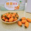 橙蜜香小蕃茄