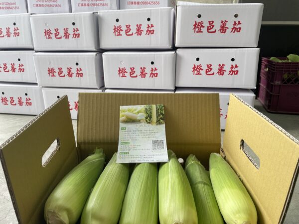 牛奶水果玉米