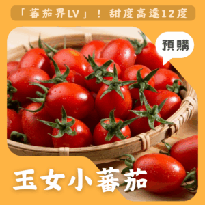 玉女小蕃茄