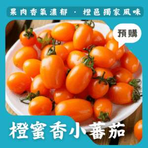橙蜜香小蕃茄