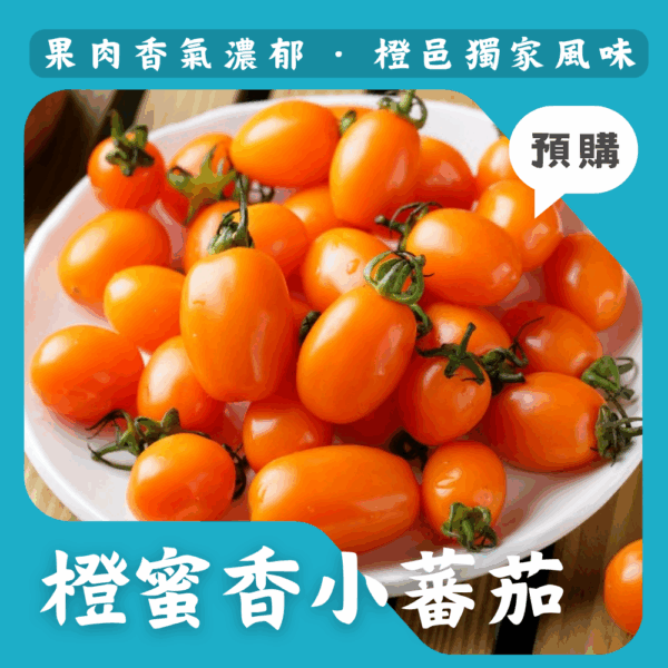 橙蜜香小蕃茄