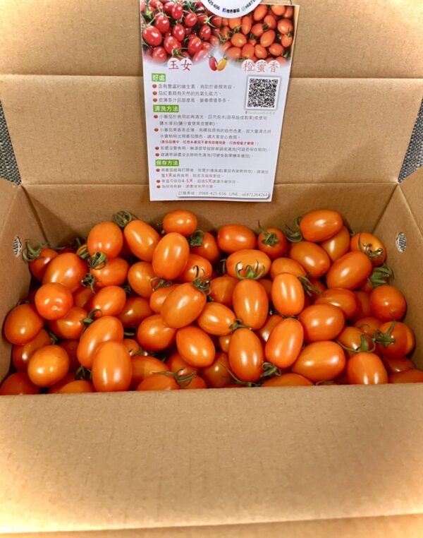 橙蜜香小蕃茄